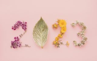 2023 your Year in Perfume
