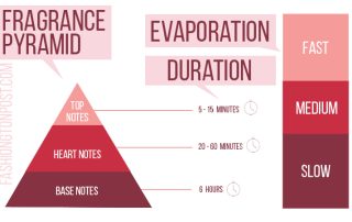 Fragrance Pyramid