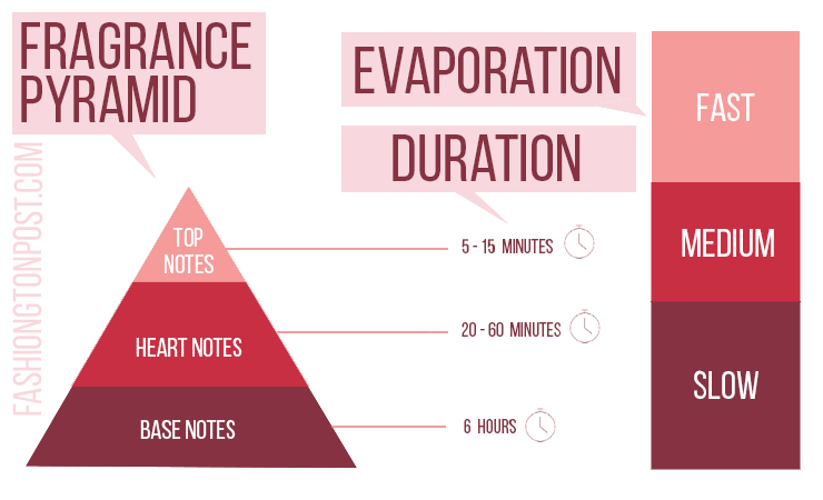 Fragrance Pyramid