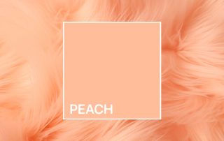 Peach Fuzz© is the Pantone color of 2024