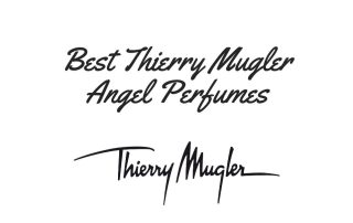 Best Thierry Mugler Angel Perfumes