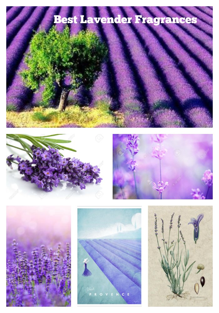 Best Lavender Fragrances for men and women