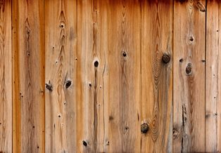 masculine wood fragrances