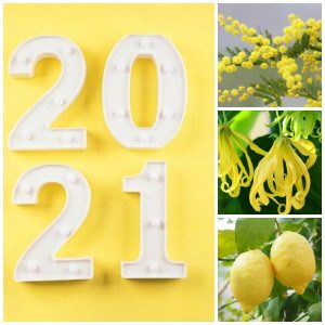 what are best perfumes for 2021